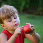 dreng med et æble i hænderne sidder i en børnevenlig have
