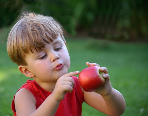 dreng med et æble i hænderne sidder i en børnevenlig have